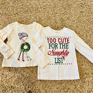 Set of 2 holiday shirts